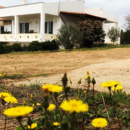 Vila The Hillhouse Near Alexandroupolis Exteriér fotografie